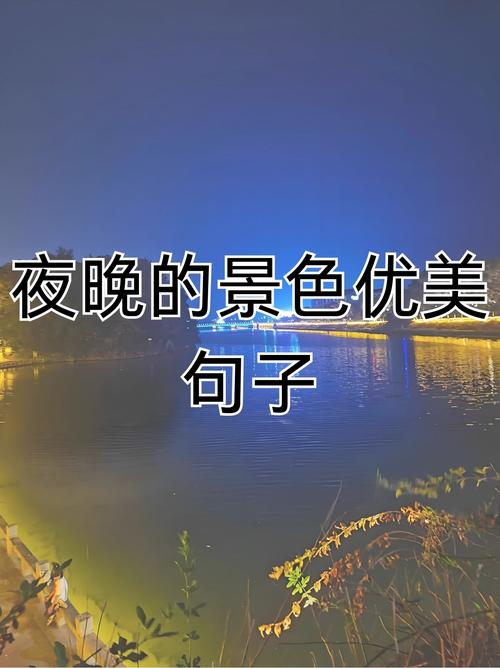 夜晚名言,夜晚名言名句优美句子-图3 夜晚名言,夜晚名言名句优美句子-图3
