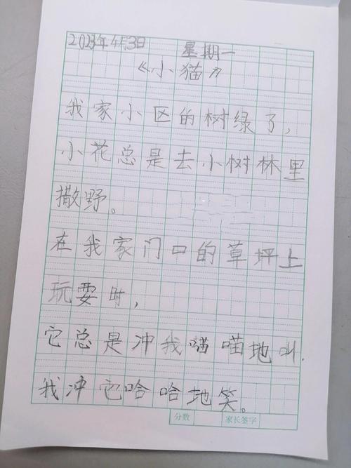 诗歌作文写,诗歌作文写动物猫400字优秀范文书-图3 诗歌作文写,诗歌作文写动物猫400字优秀范文书-图3