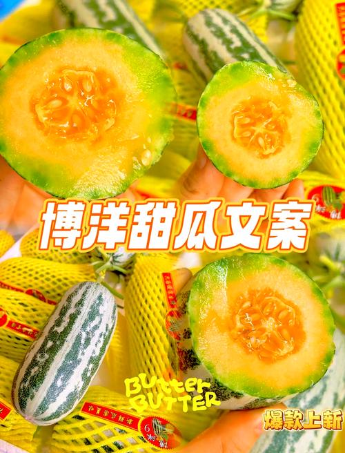 甜瓜的名言,甜瓜的名言名词有哪些-图3 甜瓜的名言,甜瓜的名言名词有哪些-图3