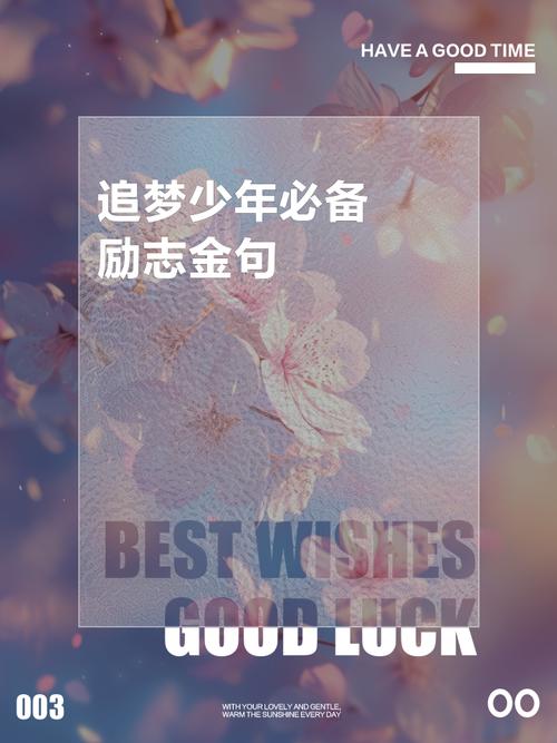 有关追梦的名言，有关追梦的名言警句有哪些呢-图1