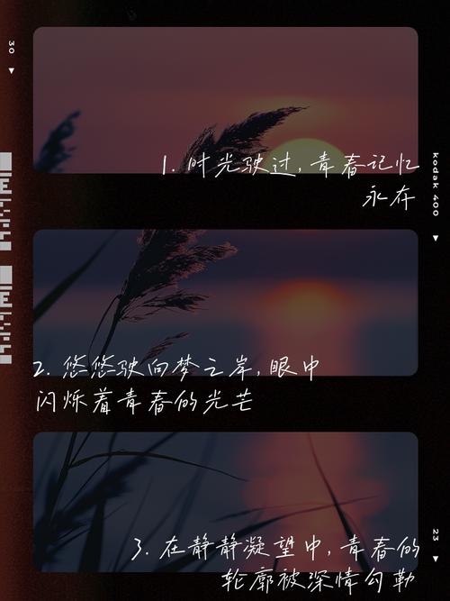 列车的诗歌,列车 诗歌-图3 列车的诗歌,列车 诗歌-图3