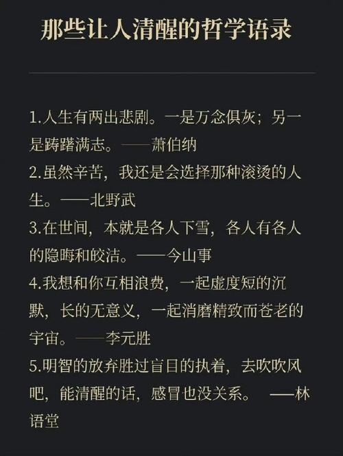 人生的意义的名言，人生的意义的名言有哪些-图3