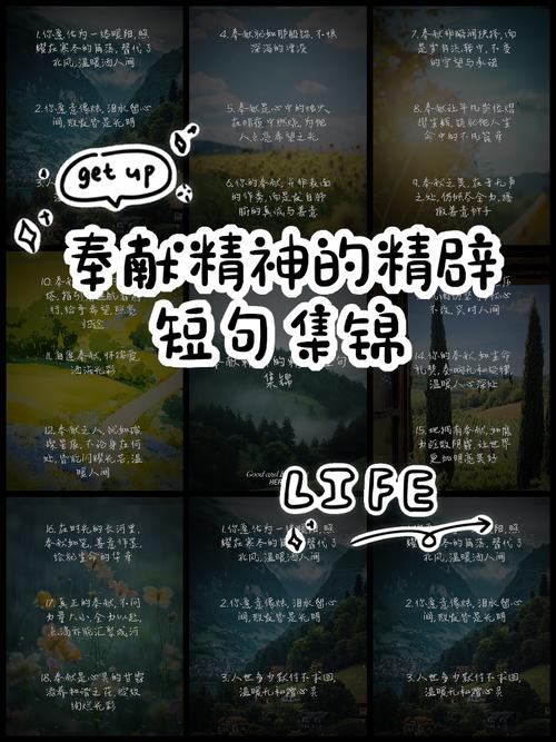 表示奉献的名言，表示奉献的名言警句-图1