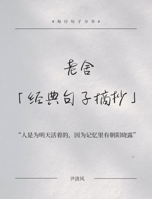 老舍名言警句,老舍名言警句大全100句-图2 老舍名言警句,老舍名言警句大全100句-图2