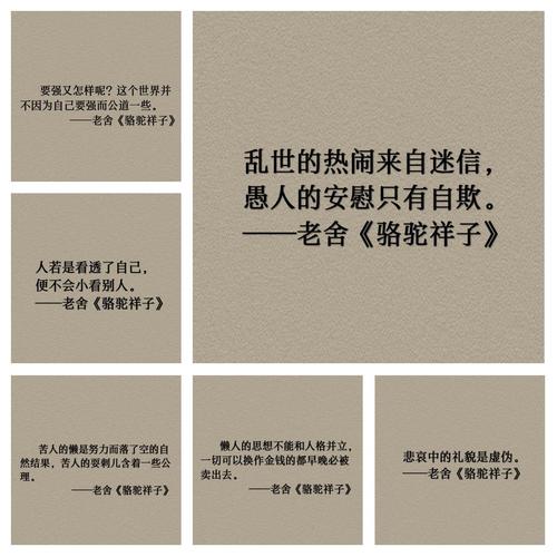 老舍名言警句,老舍名言警句大全100句-图1 老舍名言警句,老舍名言警句大全100句-图1