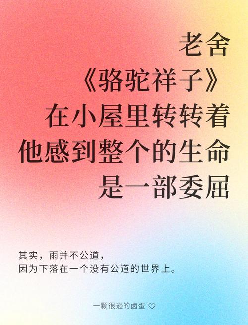 老舍名言警句,老舍名言警句大全100句-图3 老舍名言警句,老舍名言警句大全100句-图3