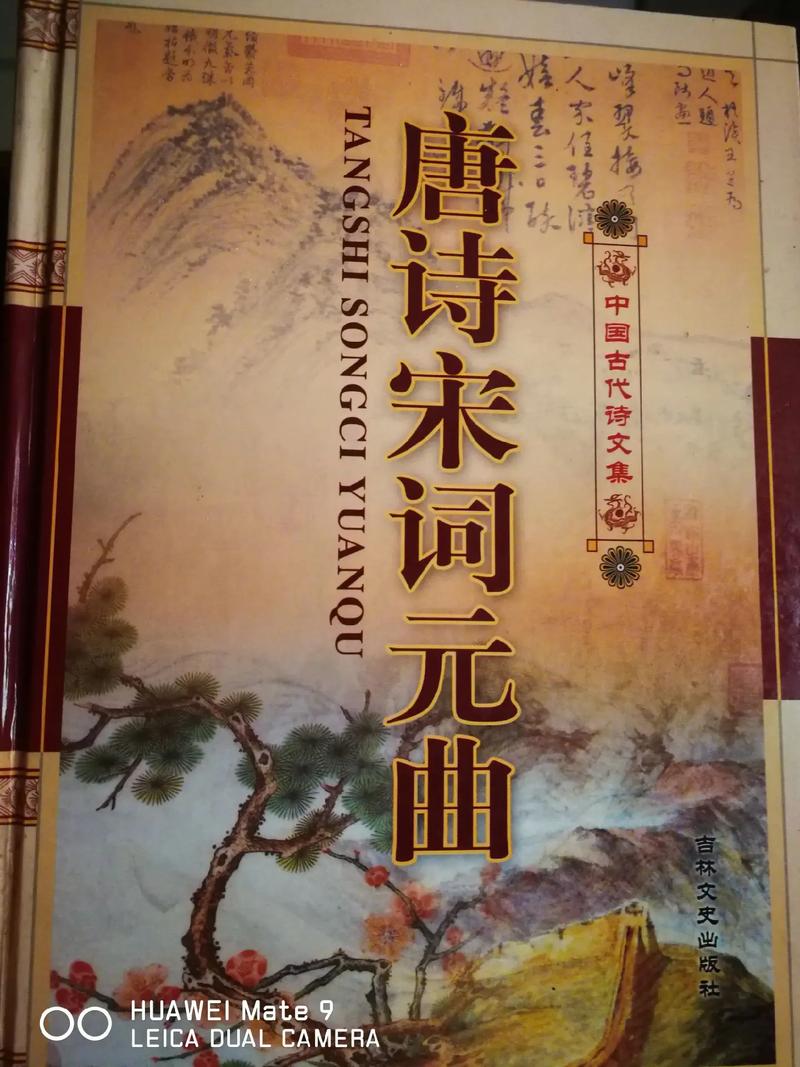 诗歌宋词元曲，诗歌宋词元曲有哪些-图3