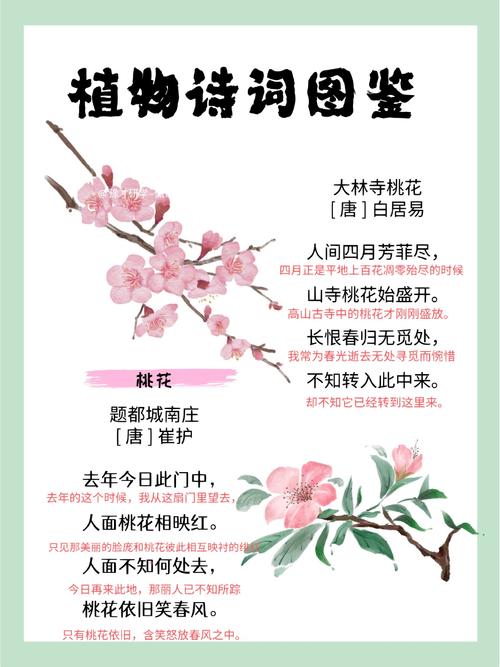 写一首关于植物的诗歌,写一首关于植物的诗歌20字左右-图2 写一首关于植物的诗歌,写一首关于植物的诗歌20字左右-图2