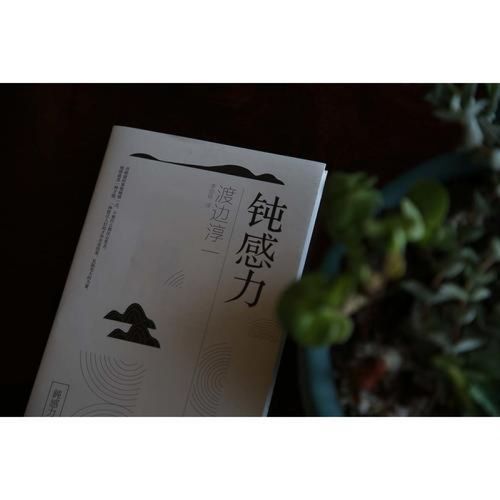 渡边淳一的名言,藏着怎样的人生智慧?-图1 渡边淳一的名言,藏着怎样的人生智慧?-图1