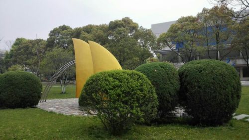 绿色校园诗中藏着什么春天？-图1