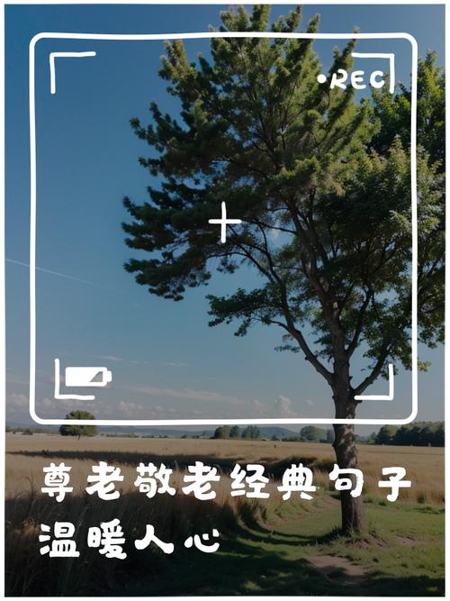 尊有哪些经典名言？-图3