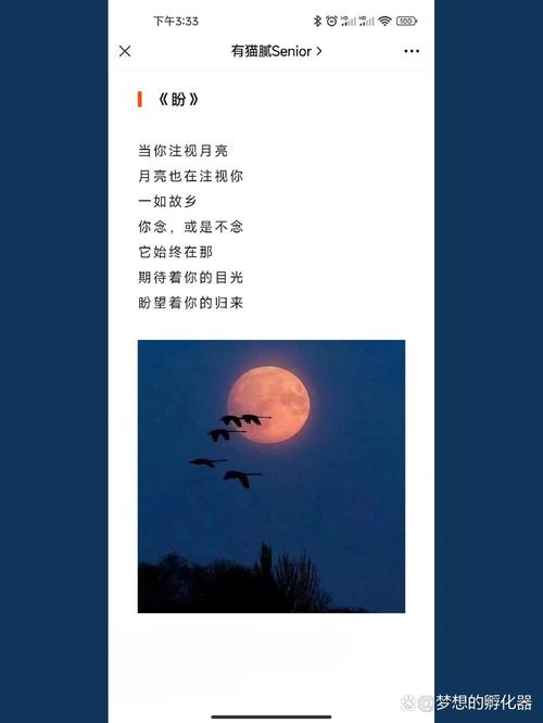 盼日诗歌,为何让人心生暖意?-图1 盼日诗歌,为何让人心生暖意?-图1