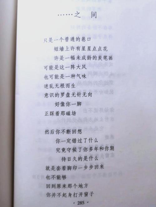 舒婷诗歌代表作有哪些经典之作?-图2 舒婷诗歌代表作有哪些经典之作?-图2