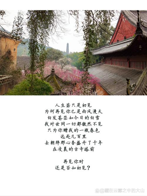 再见你时，诗歌藏着未说出口的什么？-图2