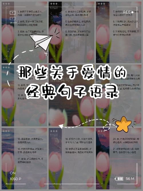 爱与生活，名言如何照亮日常？-图3