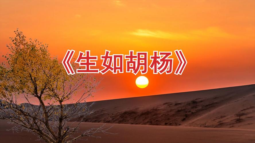 诗歌朗诵背景音乐怎么选才合适？-图2