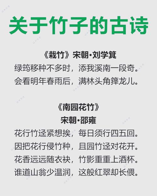 竹之诗篇，如何尽述其风骨？-图1