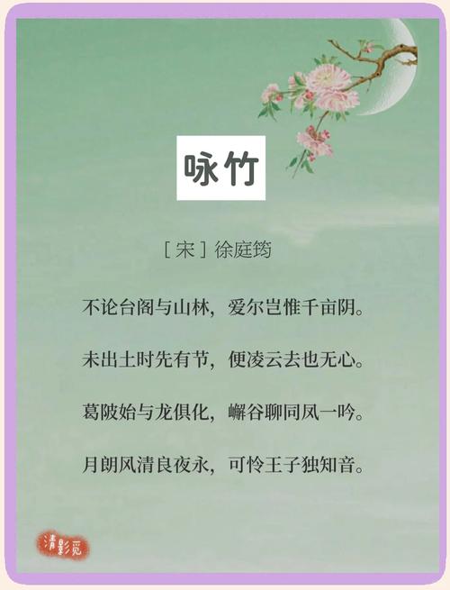 竹之诗篇，如何尽述其风骨？-图2