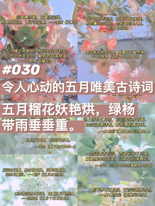 5月诗歌里藏着怎样的春日私语?-图1 5月诗歌里藏着怎样的春日私语?-图1
