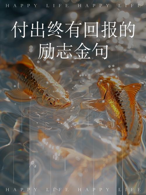 付出与收获是否真的总能成正比？-图2