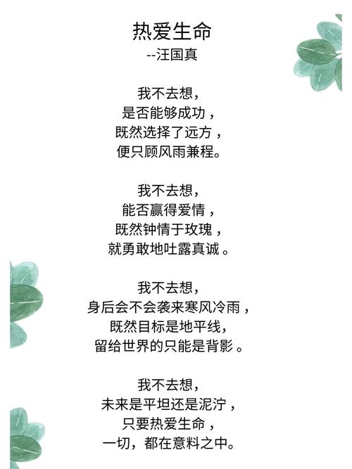 短篇励志诗，如何点燃心中的光？-图1