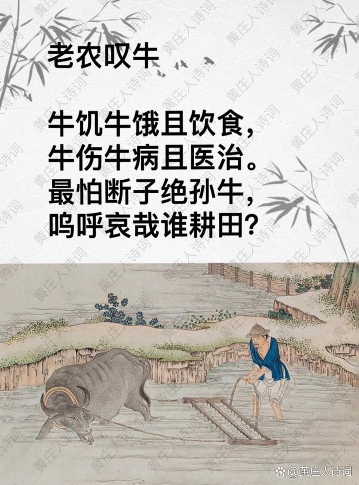 牛的诗歌，藏着怎样的诗意？-图1