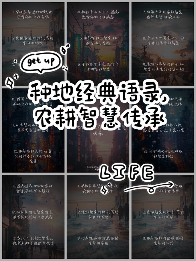 播种希望，如何收获成功？-图2