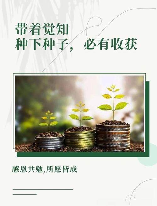 播种希望，如何收获成功？-图1