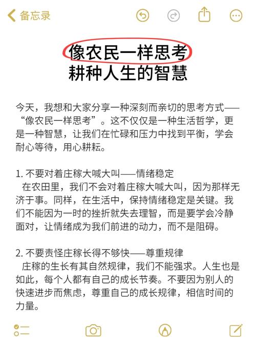 播种希望，如何收获成功？-图3