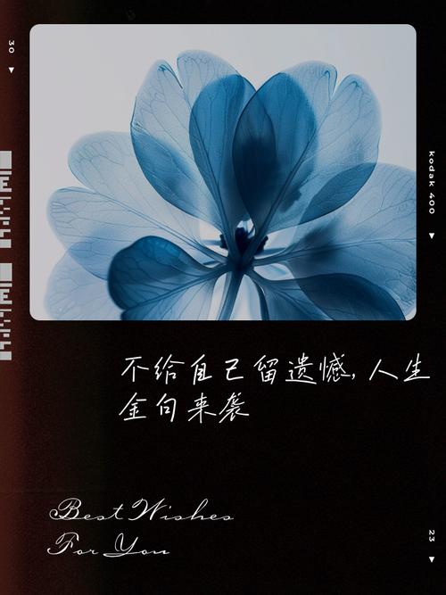 人生不留遗憾的名言-图1