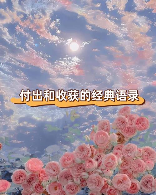 关于付出的名言警句-图2