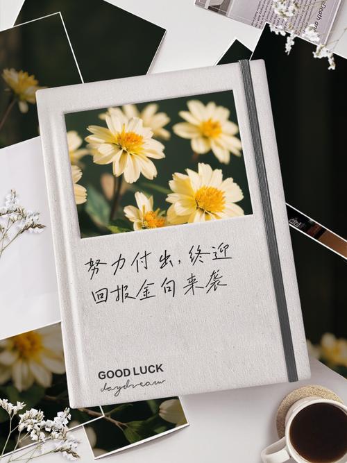 关于付出的名言警句-图3