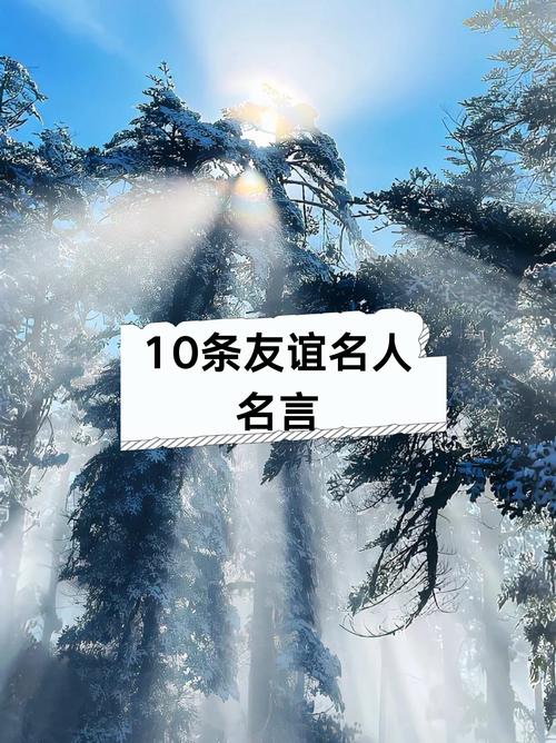 哪些名言最能诠释友情的真谛？-图3