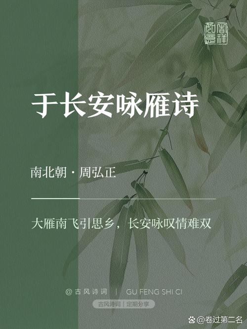 大雁塔诗歌-图1