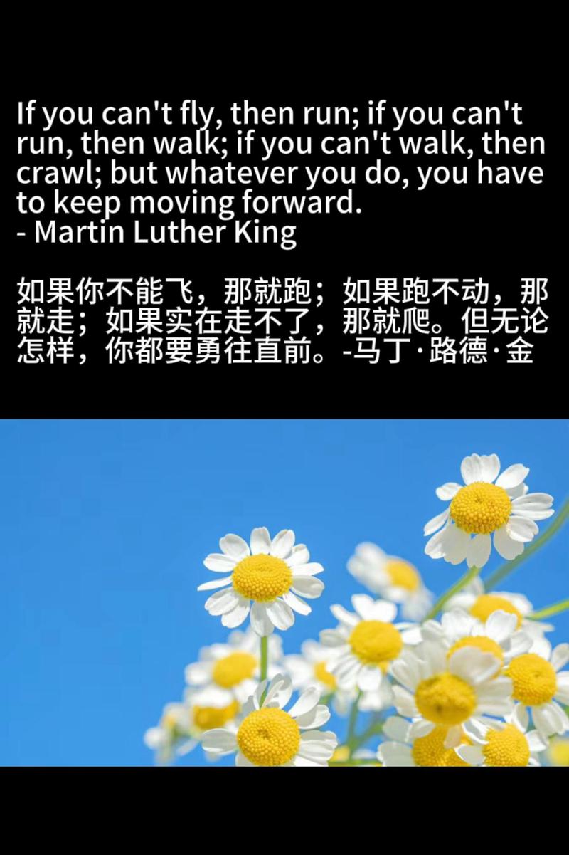 努力奋斗的名言英语-图1 努力奋斗的名言英语-图1