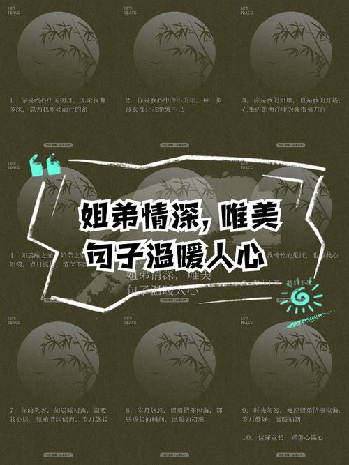 兄妹情深的句子名言-图3