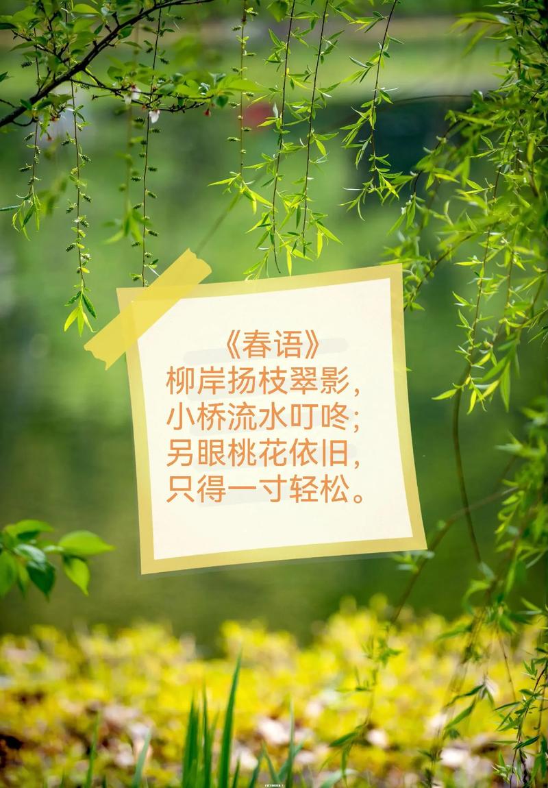 幼儿园的春天诗歌藏着哪些童趣？-图3