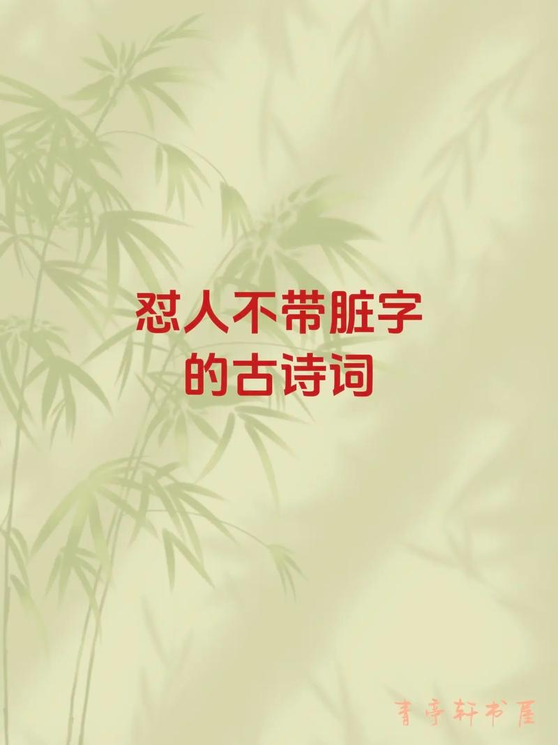 骂人的诗歌-图3