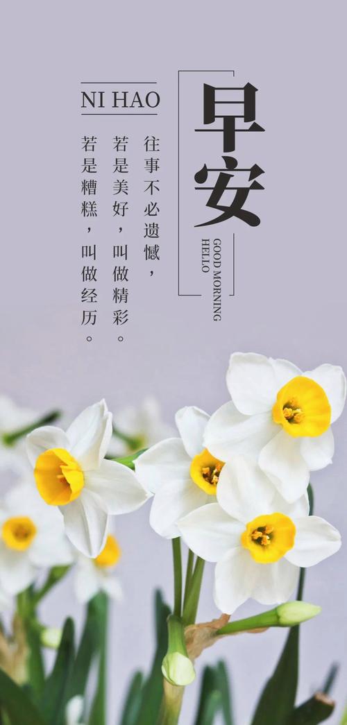 2025晨语，如何点亮今日？-图2