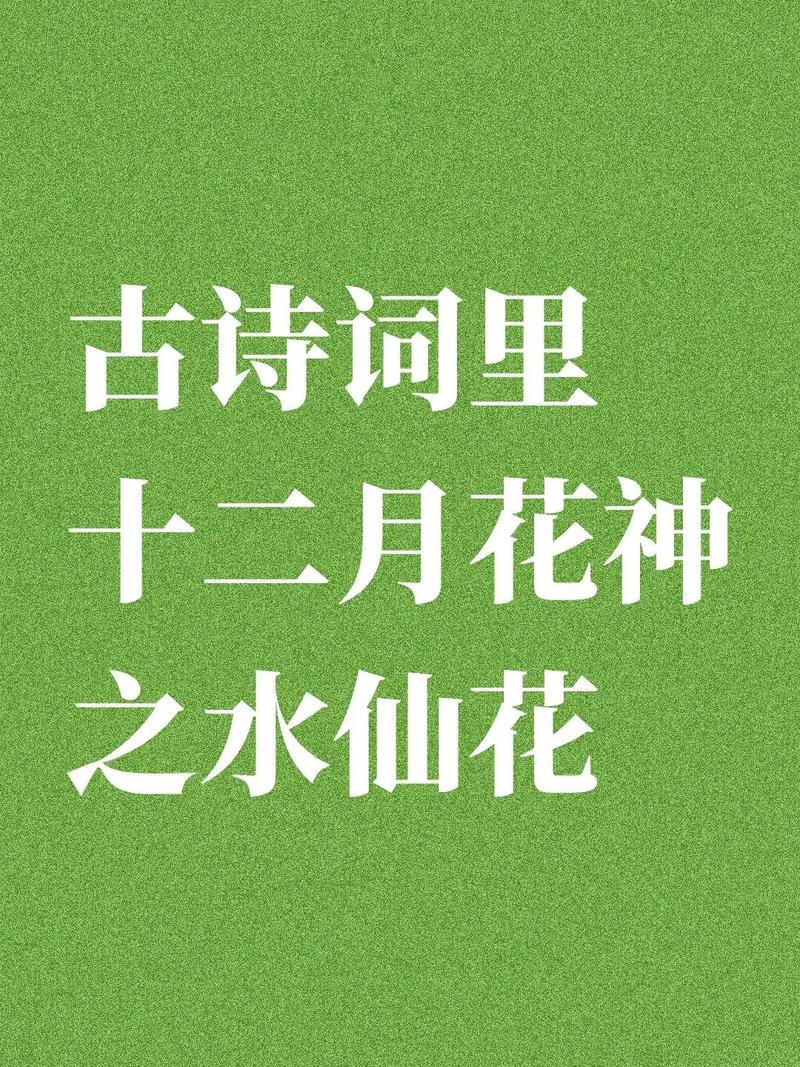 水仙花 诗歌-图3