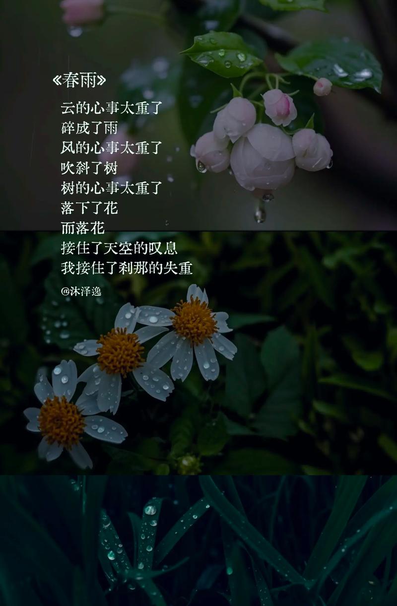 雨的现代诗歌自己写的-图1