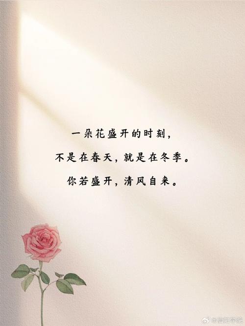 冰心名言墙角的花-图2