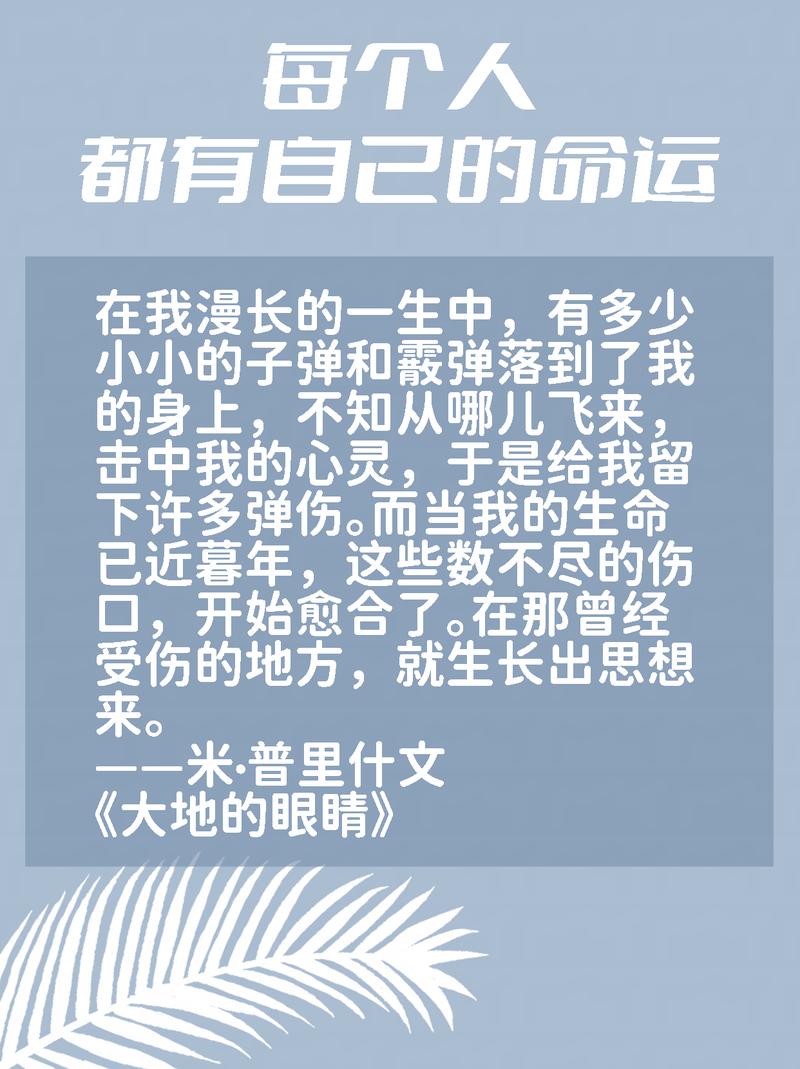 夏洛蒂勃朗特的名言-图1 夏洛蒂勃朗特的名言-图1