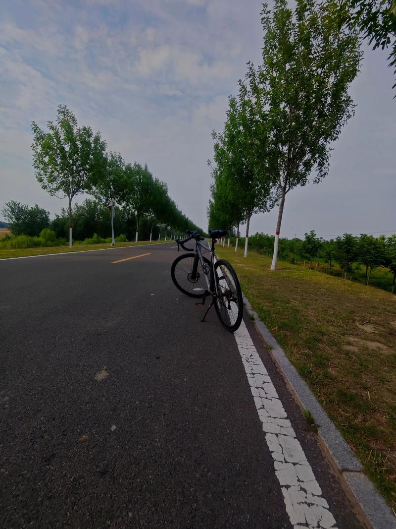 诗歌骑行队-图3