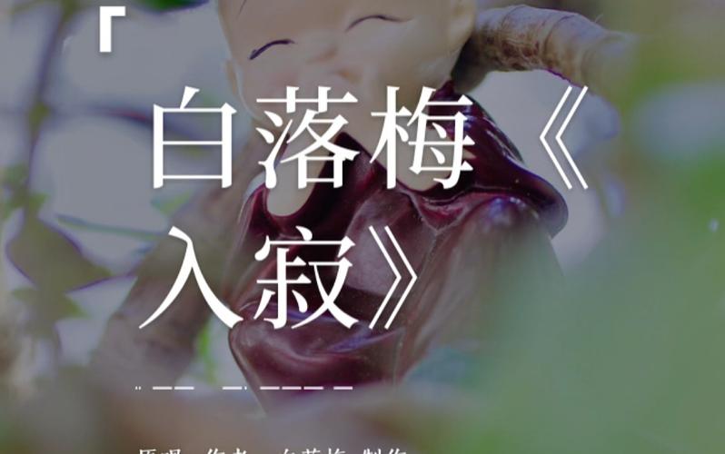 白落梅诗歌-图3