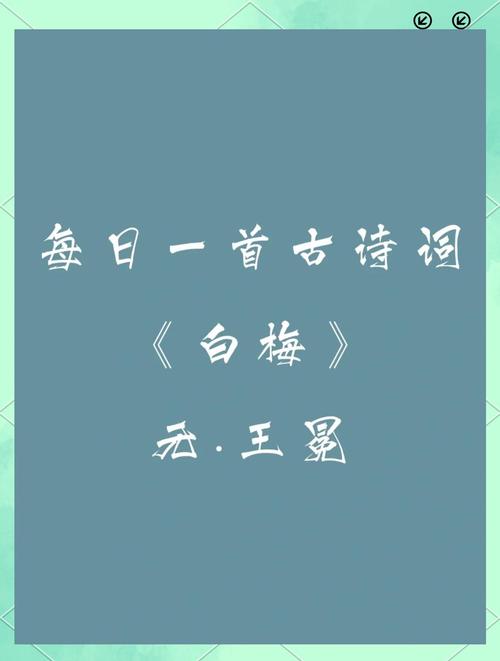 白落梅诗歌-图2