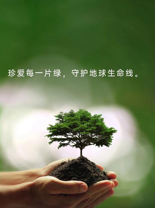 植物名言藏何智慧？-图1