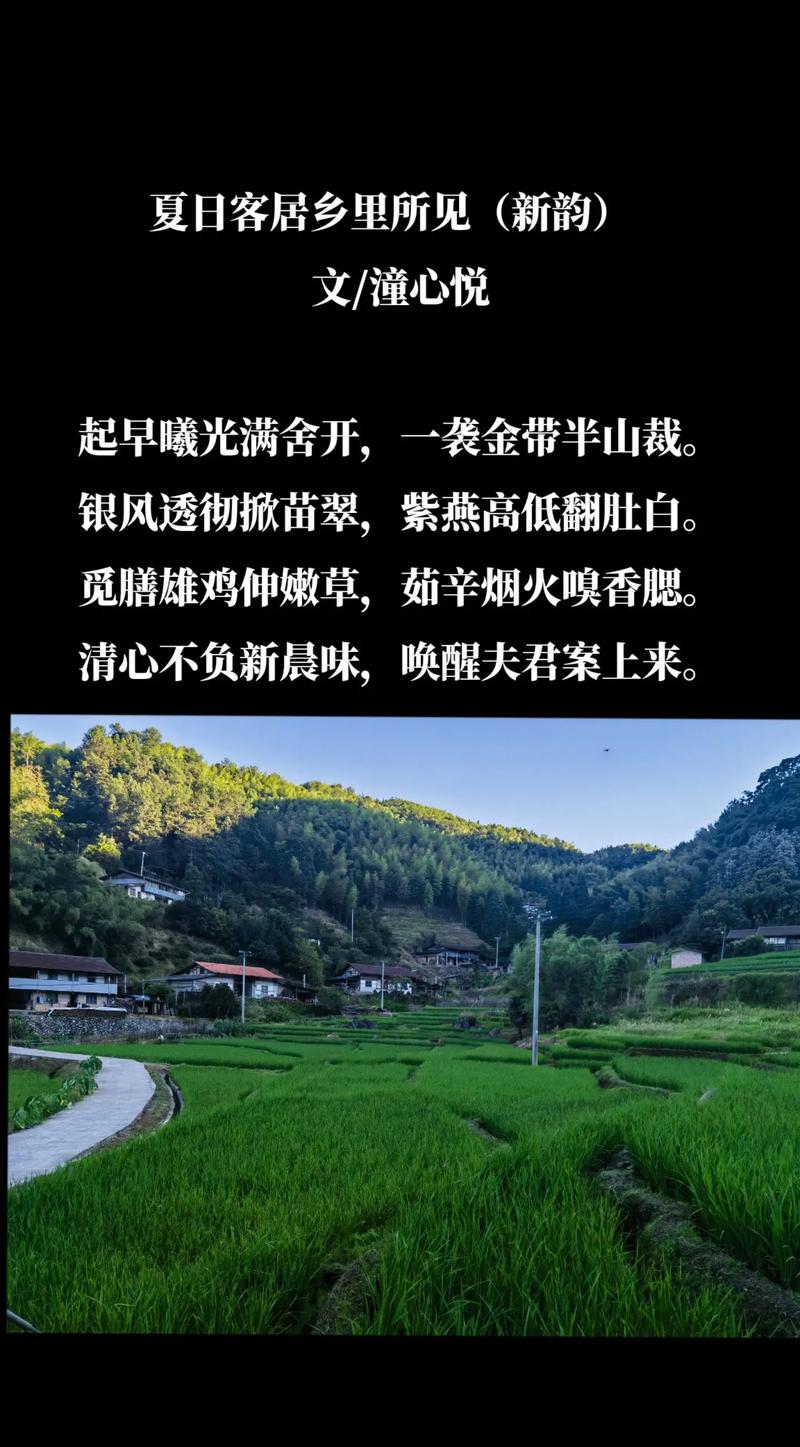 农村的早晨的诗歌-图1