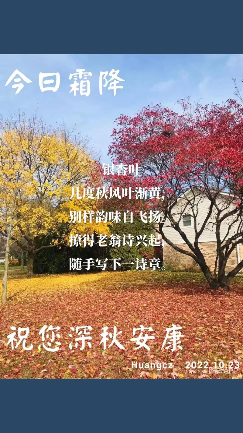 银杏叶诗中藏着什么?-图2 银杏叶诗中藏着什么?-图2