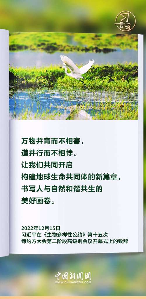 生态文明名言-图2